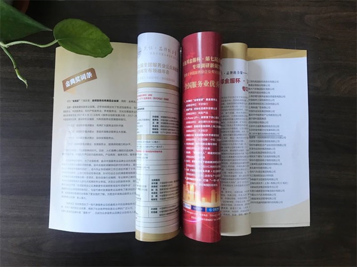 百年董氏公司董事長董增軍先生受國家相關部門的邀請參加“第七屆全國服務業公眾滿意度專項調研新聞發布領袖年會暨中國商界企業家俱樂部理事2018春節賀歲電視大拜年”活動 